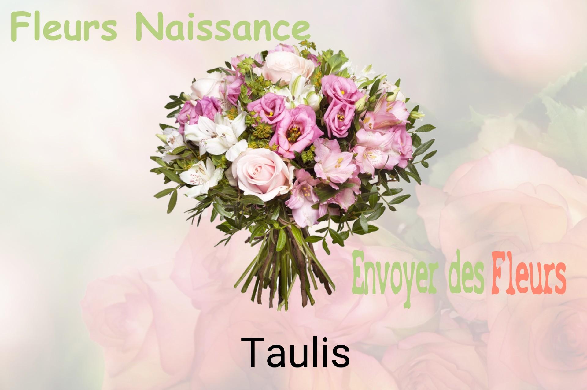 Bouquet de fleurs de naissance livré à Taulis
