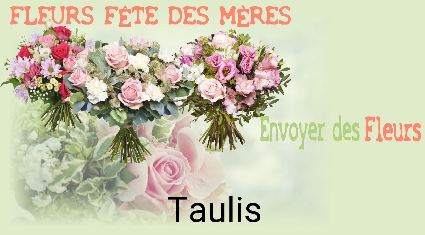 Bouquet de Fête des Mères livré à Taulis